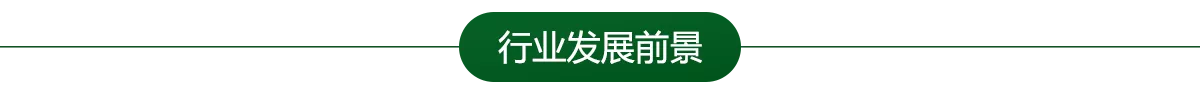 绿森林硅藻泥加盟优势